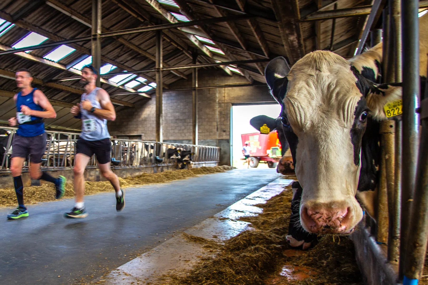 Bemels Beste Boeren Bergloop